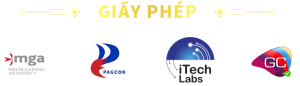 giay-phep-au88